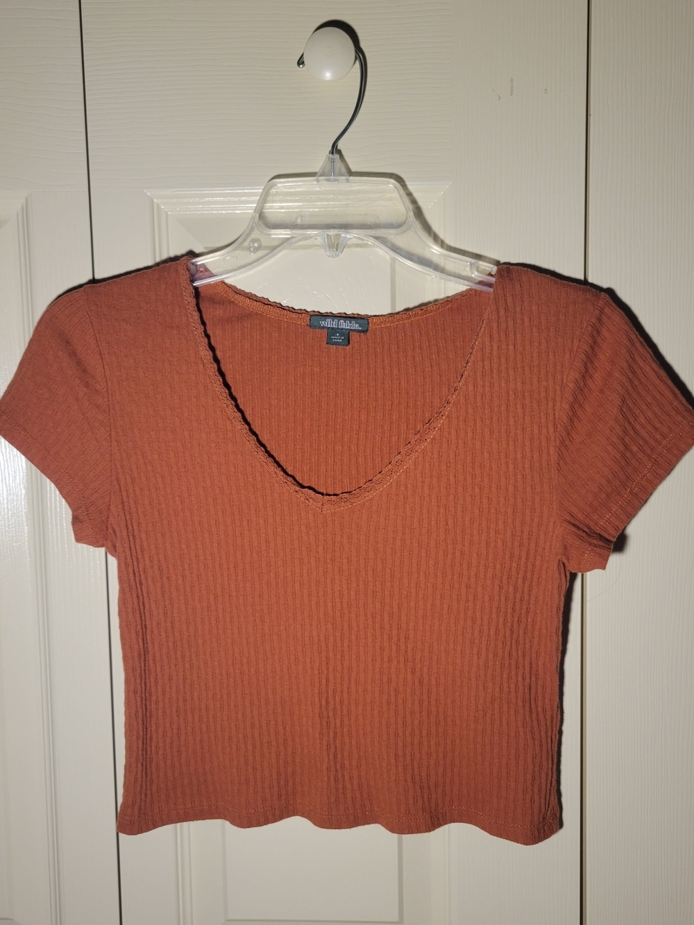 Wild Fable Rust/Burnt Orange Ribbed V-Neck Crop Top